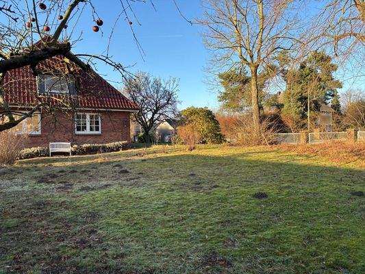 Seitenansicht / Garten