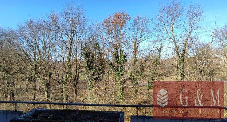 Blick von der Loggia