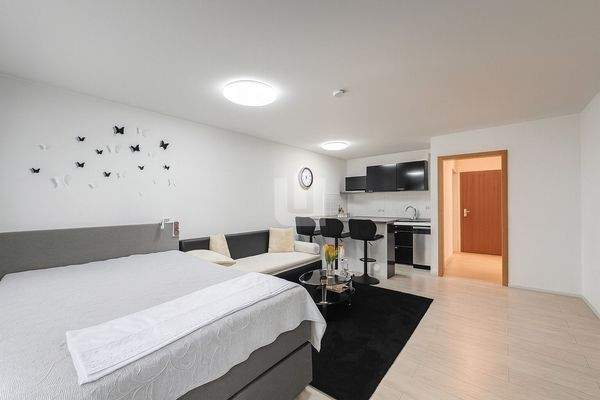 Wohn- und Schlafzimmer