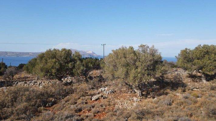 Plot-for-sale-in-Kokkino-Chorio-IMG-20241115-WA001
