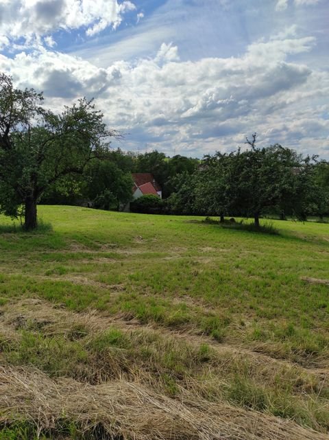 Waiblingen Bauernhöfe, Landwirtschaft, Waiblingen Forstwirtschaft