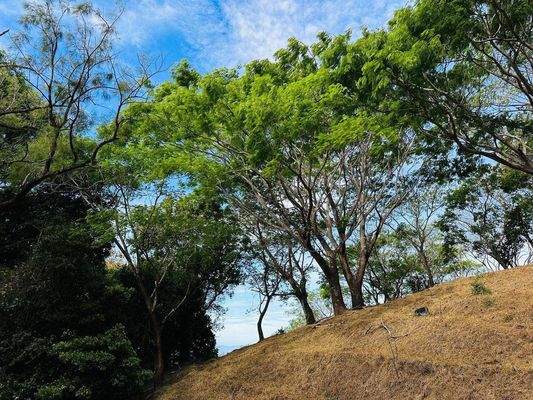 Pachtgrundstück auf Nachfrage (10).JPG