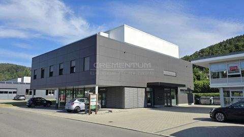 Immendingen Büros, Büroräume, Büroflächen 