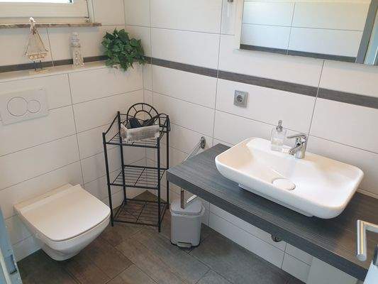 EG Tageslicht-Dusche WC