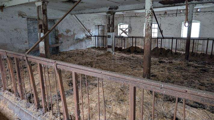 Innenansicht Stall.jpg