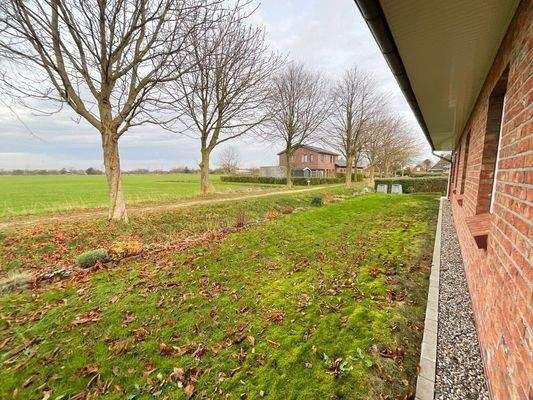 Blick aus dem hinterem Garten