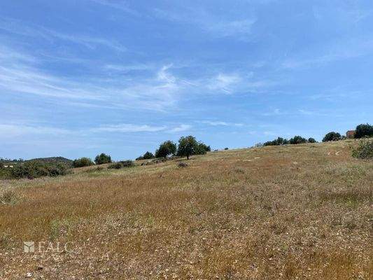 ...wohin man schaut...