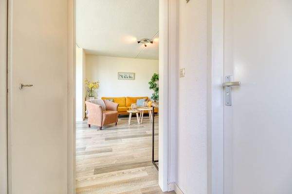 Heggerank 74 Nieuwvliet-13.jpg