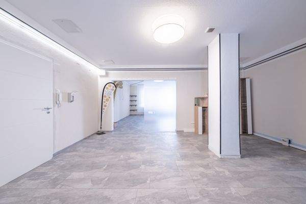 Eingangsbereich - Fläche 2