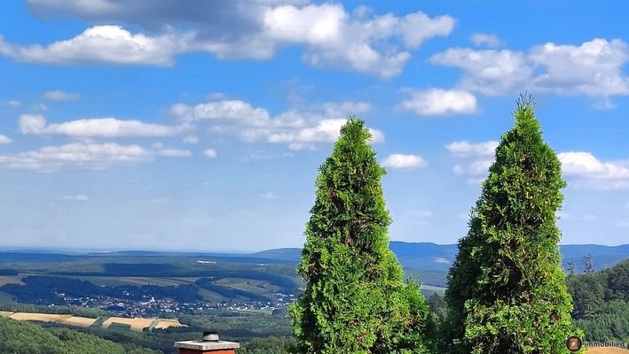 Fernblick ins Grüne