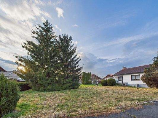 Garten Blick Einfahrt