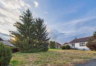 Garten Blick Einfahrt