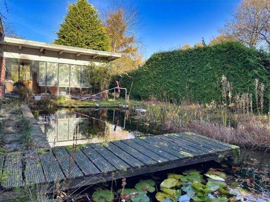 Blick über den Schwimmteich