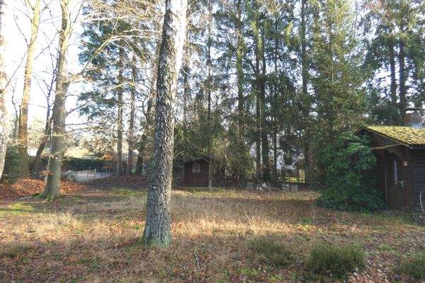 Ansicht auf das Eingangstor an der nördlichen Grundstücksgrenze