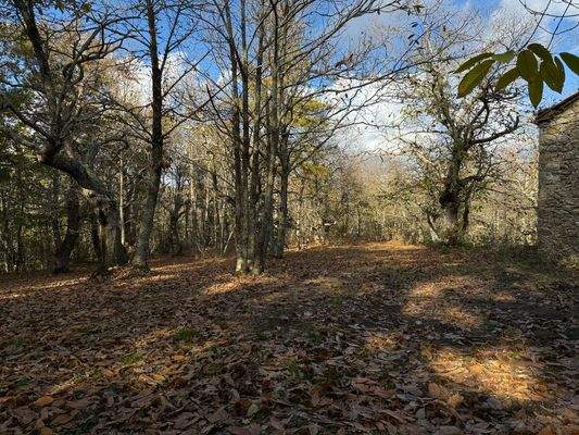 674FDE59-FFAF-4B6A-AC37-593C954B67B2_1_102_o