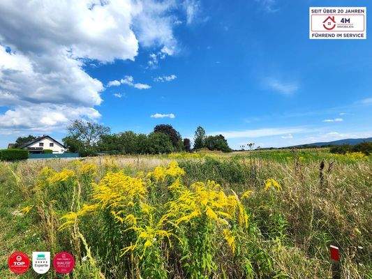 schräge Seitenansicht links