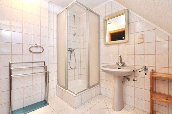 Blick in das Duschbad im DG