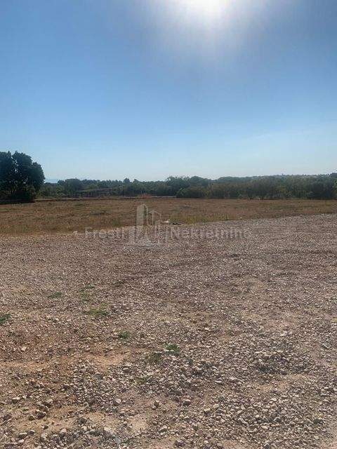 Diklo - Puntamika Bauernhöfe, Landwirtschaft, Diklo - Puntamika Forstwirtschaft