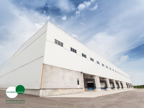 Mörfelden-Walldorf Halle, Mörfelden-Walldorf Hallenfläche