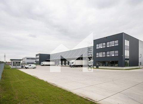 Dortmund Halle, Dortmund Hallenfläche