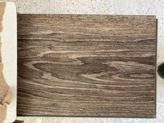 Boden komplettes EG teilweise OG