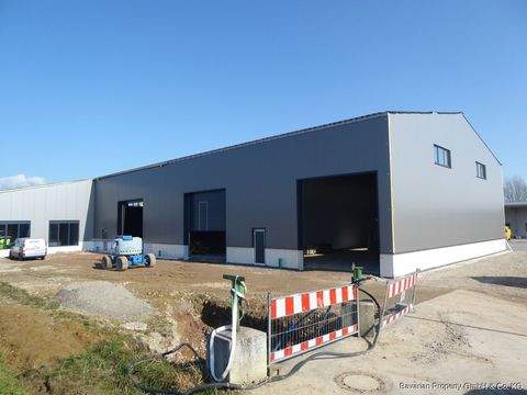 Bogen / Bärndorf Halle, Bogen / Bärndorf Hallenfläche