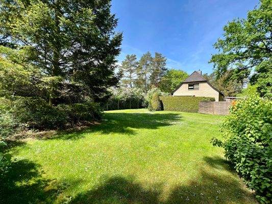 Garten hinten
