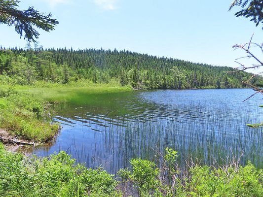 Cape Breton - 42 Hektar inmitten einer herrlichen 