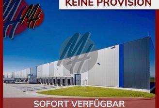 INFOS UNTER: 06171-586000