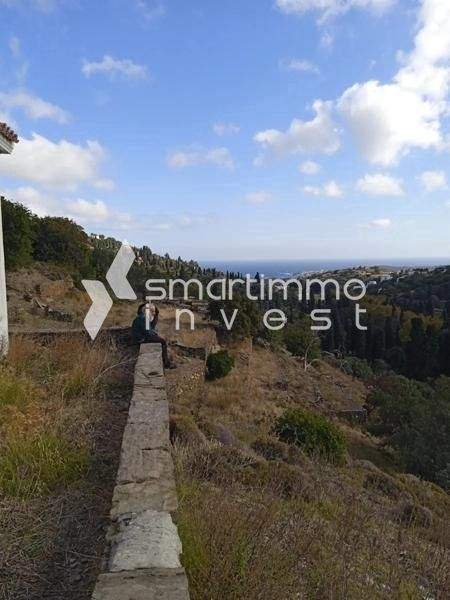 Mesaria, Andros Bauernhöfe, Landwirtschaft, Mesaria, Andros Forstwirtschaft