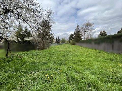 Mühlhausen/Thüringen Häuser, Mühlhausen/Thüringen Haus kaufen