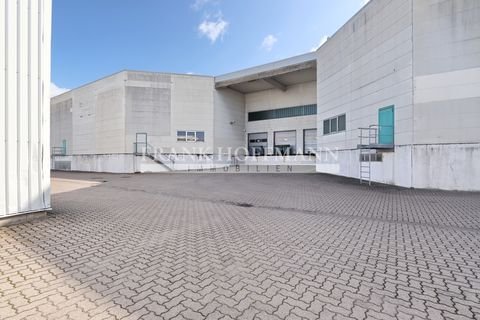 Kaltenkirchen Halle, Kaltenkirchen Hallenfläche