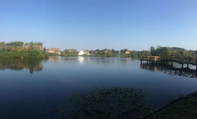 Blick auf den Dorfteich