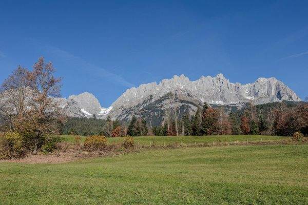Blick auf den Wilden Kaiser