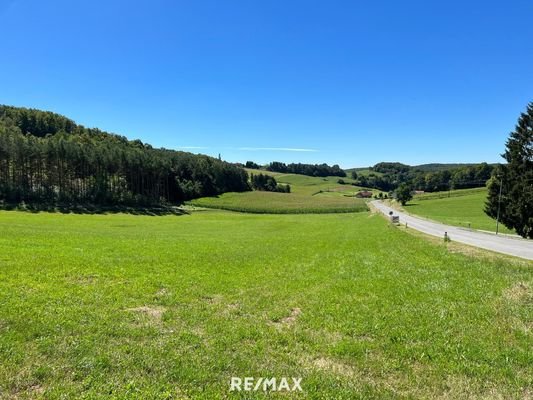 Blick Süden