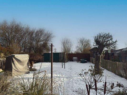 Pflegeleichter Garten