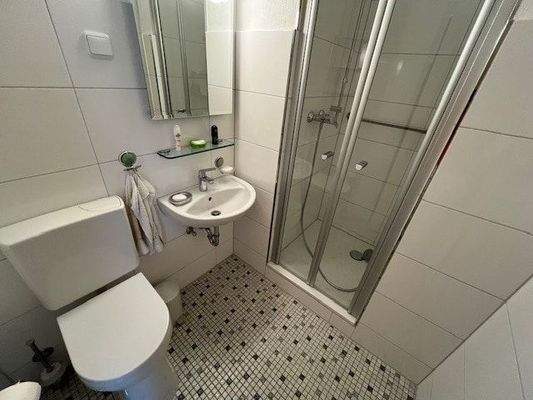 modernisiertes Duschbad