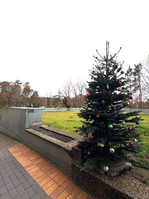 Grüner Garten im Haus