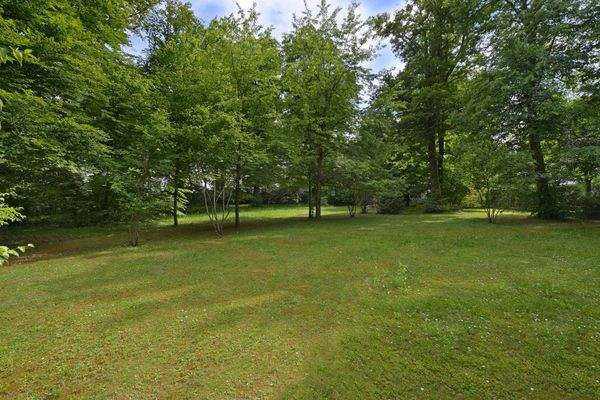 Garten_Wohnung_Solln