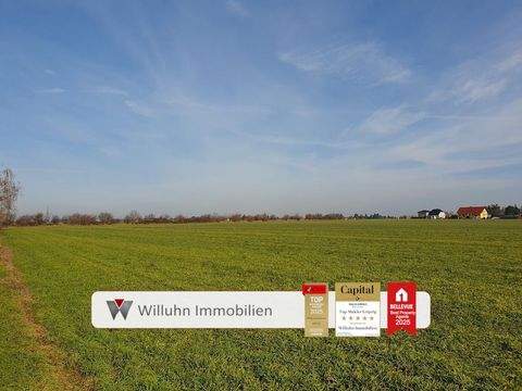 Leipzig Bauernhöfe, Landwirtschaft, Leipzig Forstwirtschaft