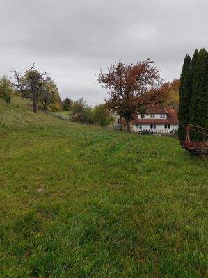 Direkt angrenzende Grünfläche