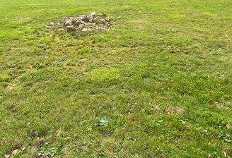 Grundstück in Gieselwerder.jpg