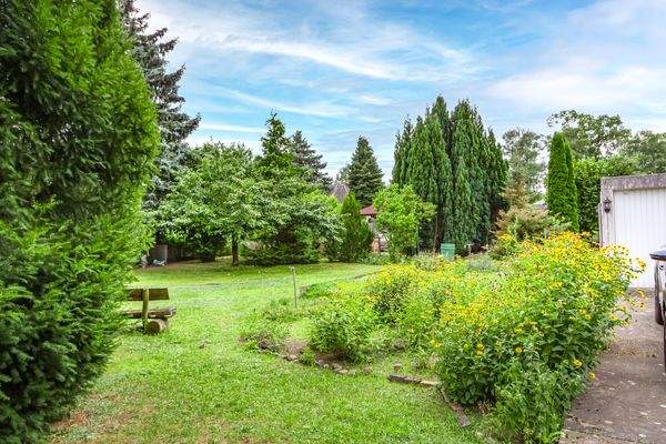 Blick auf das hintere Grundstücksteil