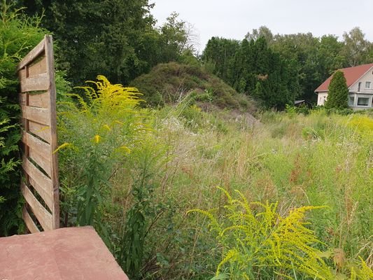 Blick von der Straße 