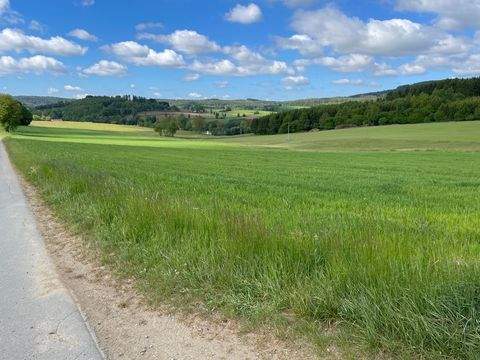 Pleystein / Miesbrunn Bauernhöfe, Landwirtschaft, Pleystein / Miesbrunn Forstwirtschaft