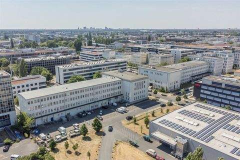 Berlin Halle, Berlin Hallenfläche