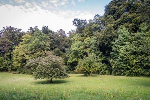 Baugrundstück nahe Wald/See