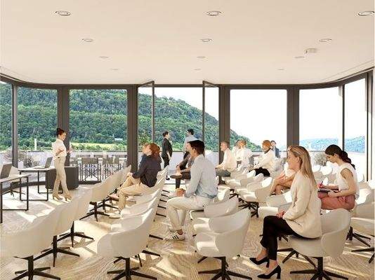 Visualisierung Meeting