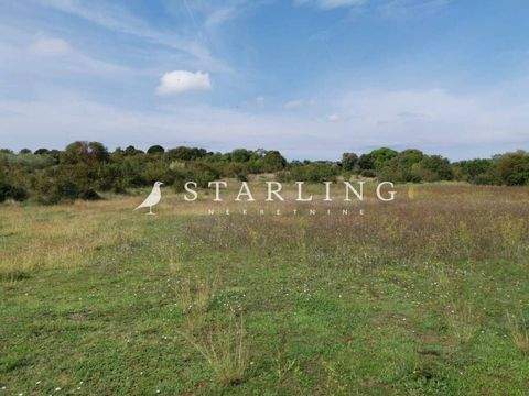 Bale Bauernhöfe, Landwirtschaft, Bale Forstwirtschaft