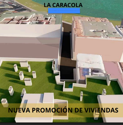 La Caracola 6.png